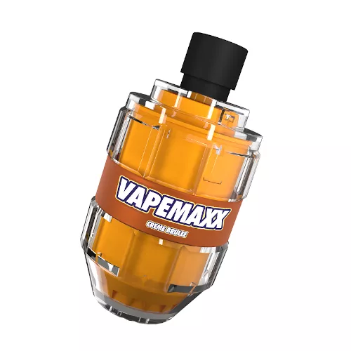 Review of Vault Vape VAPEMAXX Kit. First look